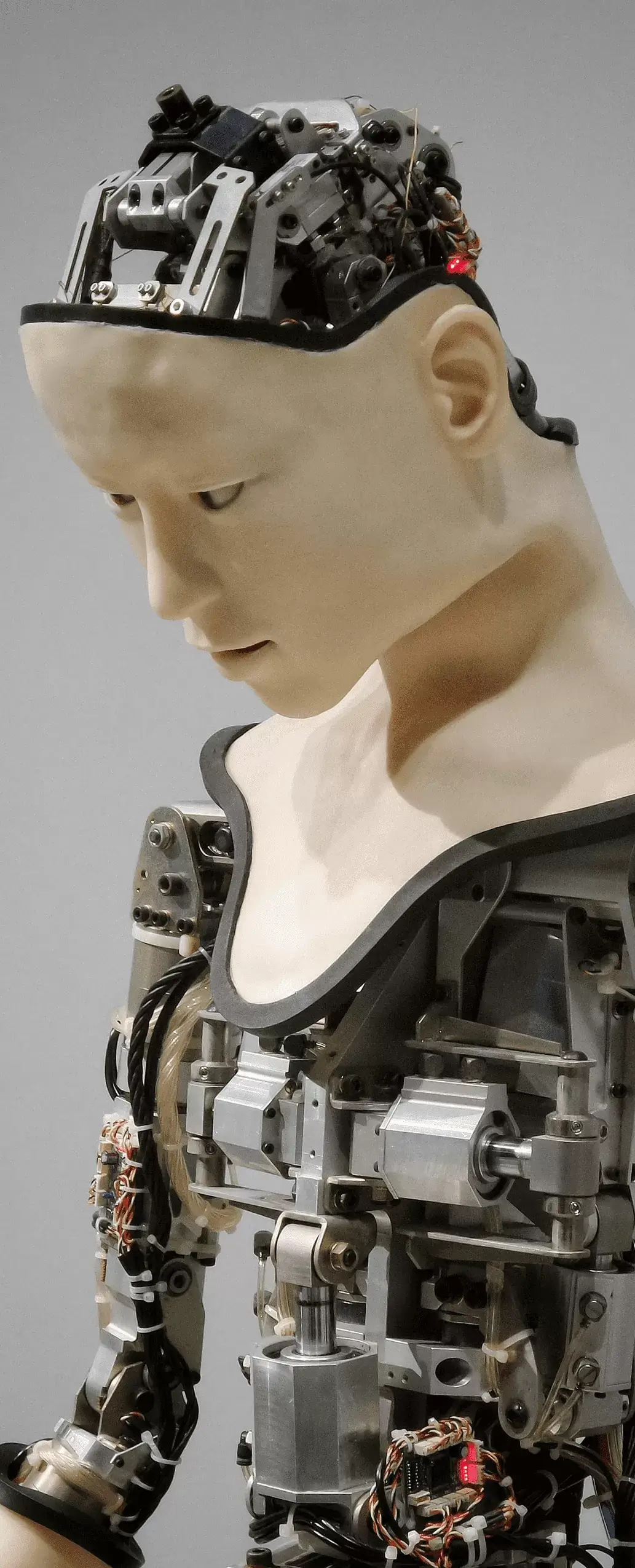 workforce of the future