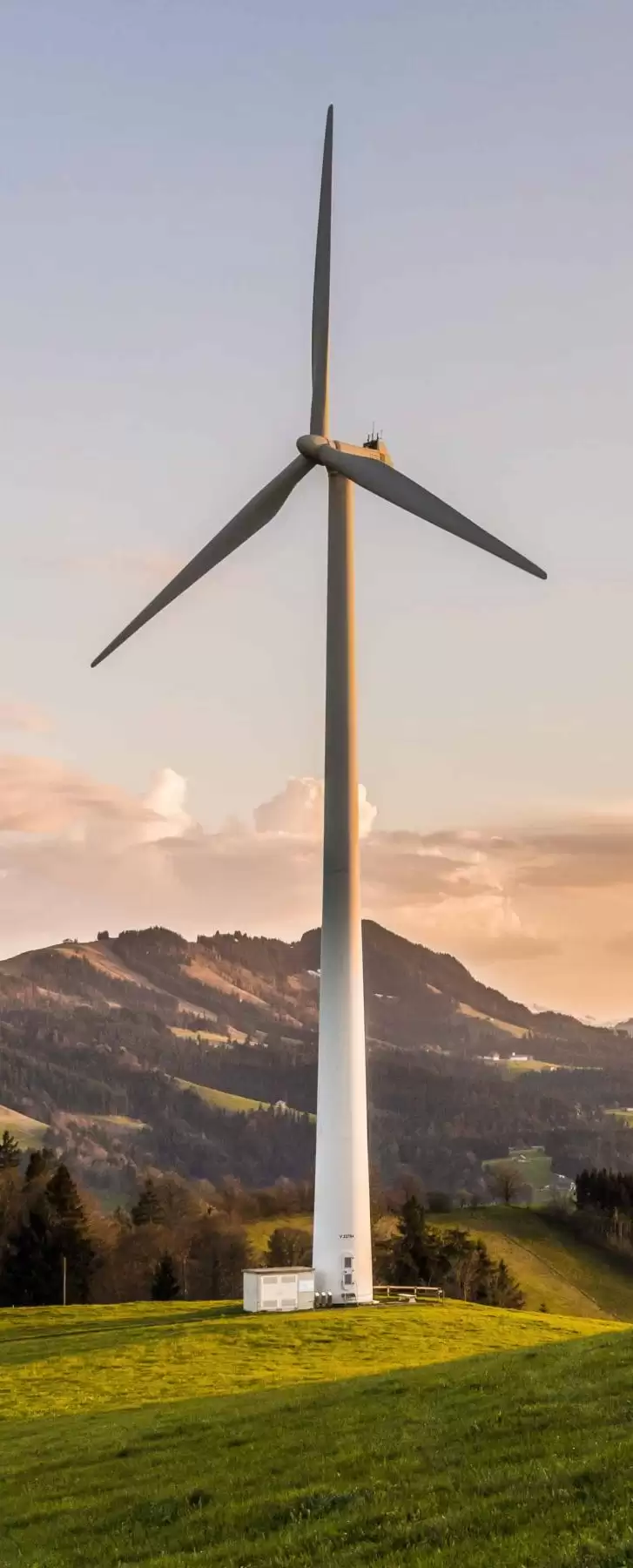 Neil Hogg Renewable Energy