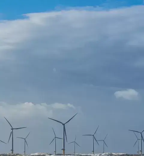 Realise Energy Services
