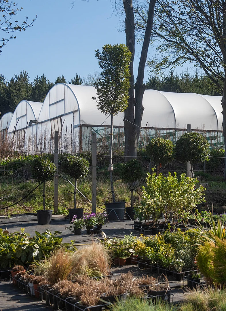 Fleurtations Plantscapes Ltd
