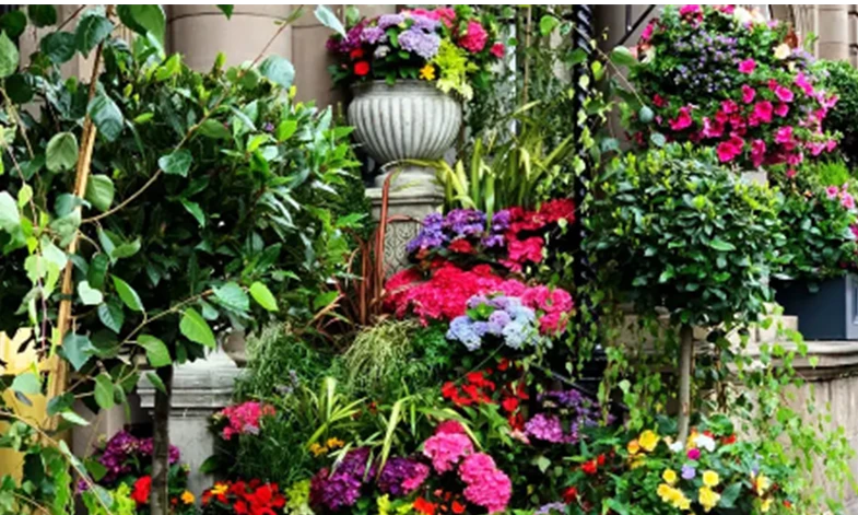 Fleurtations Plantscapes Ltd