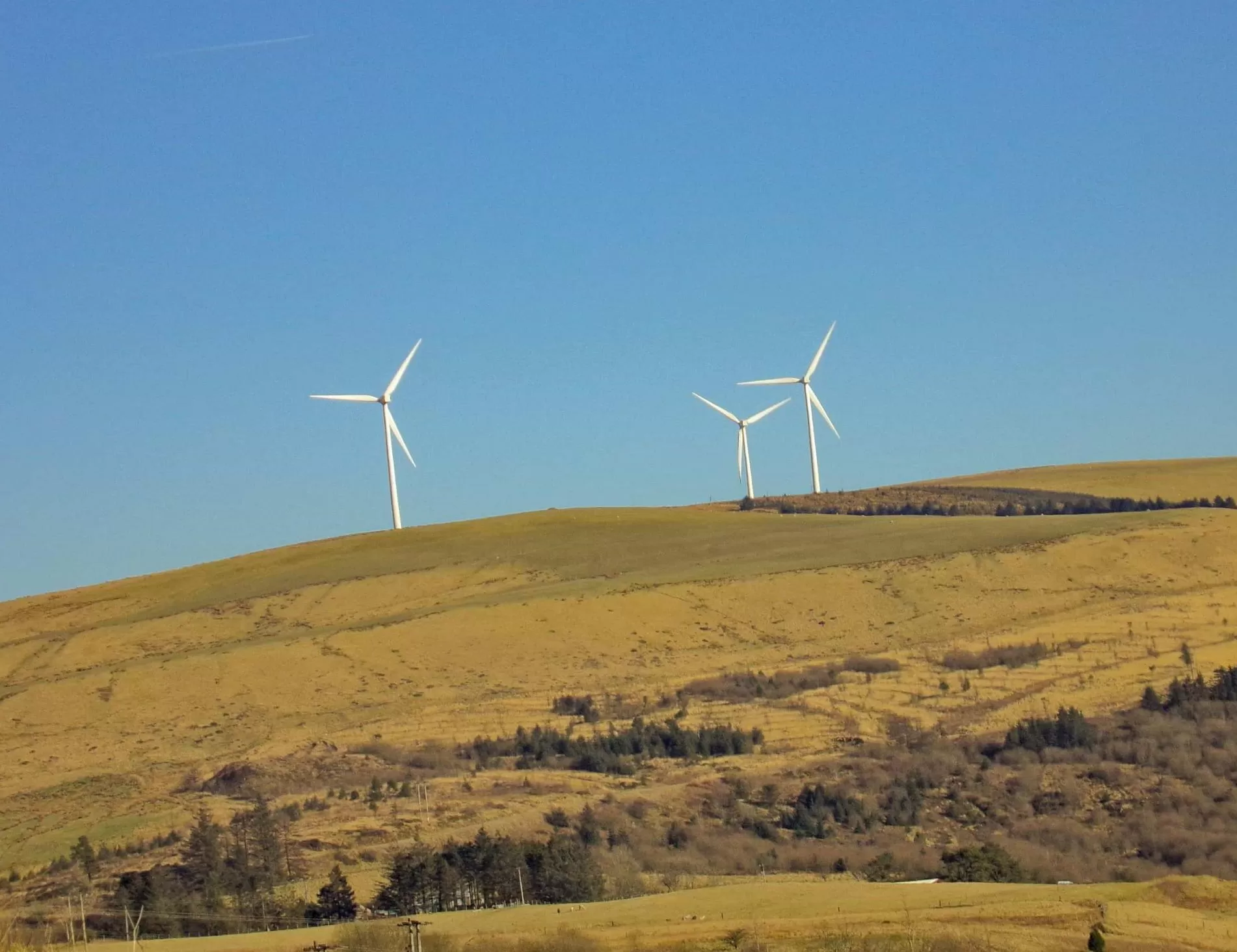 Koehler Renewable Energy