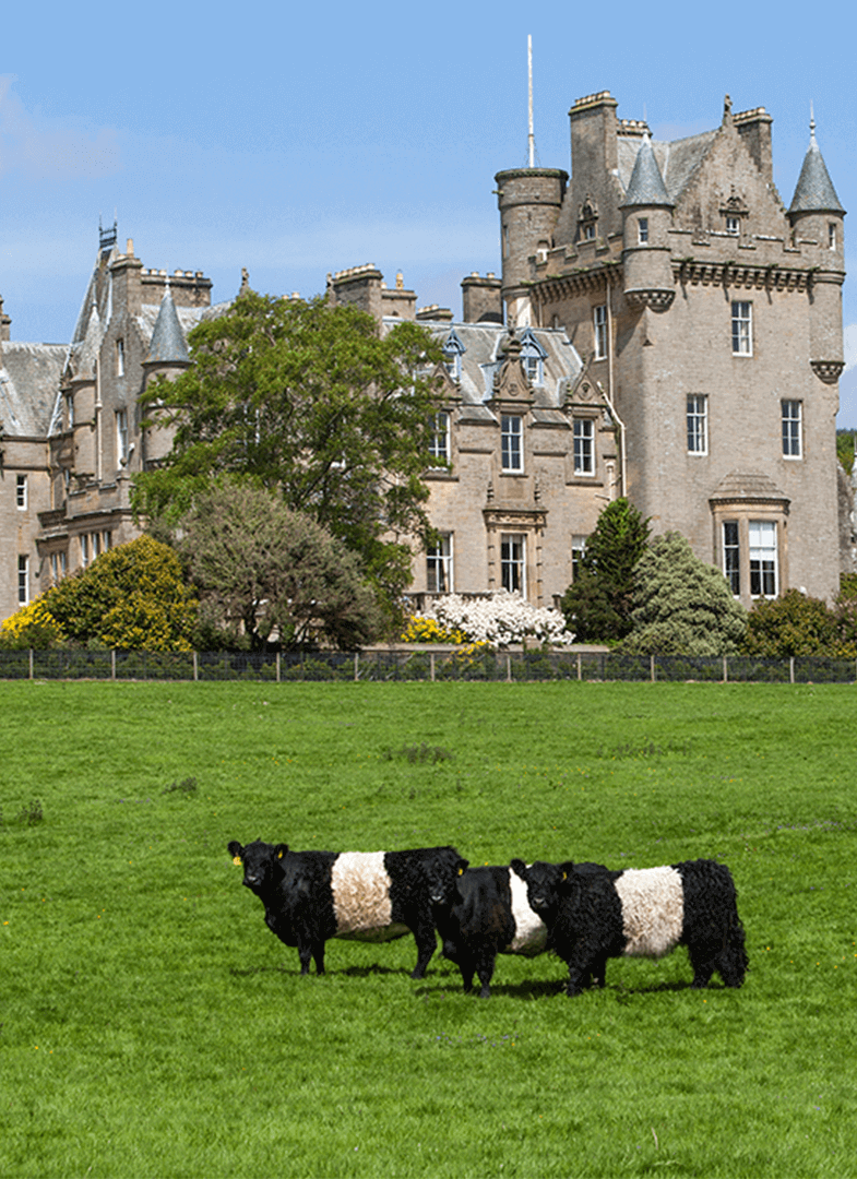 Castle Kennedy Gardens