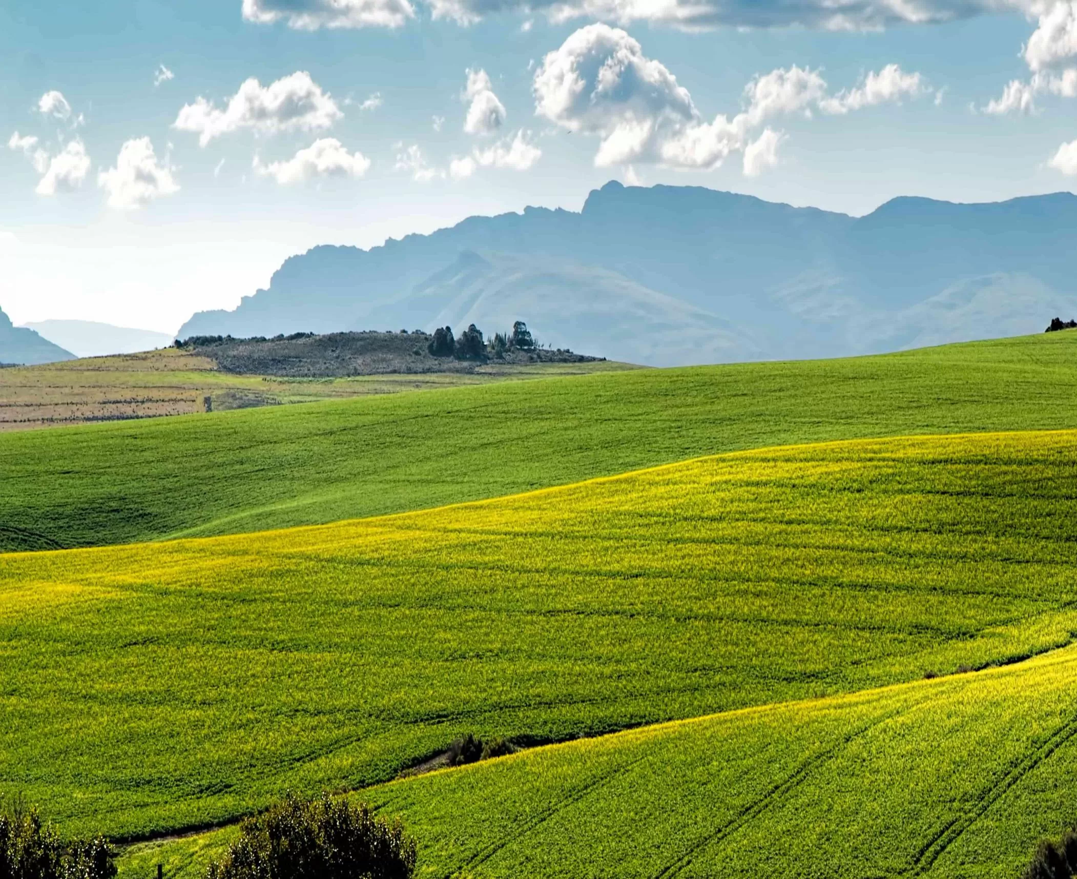 Terra Magna