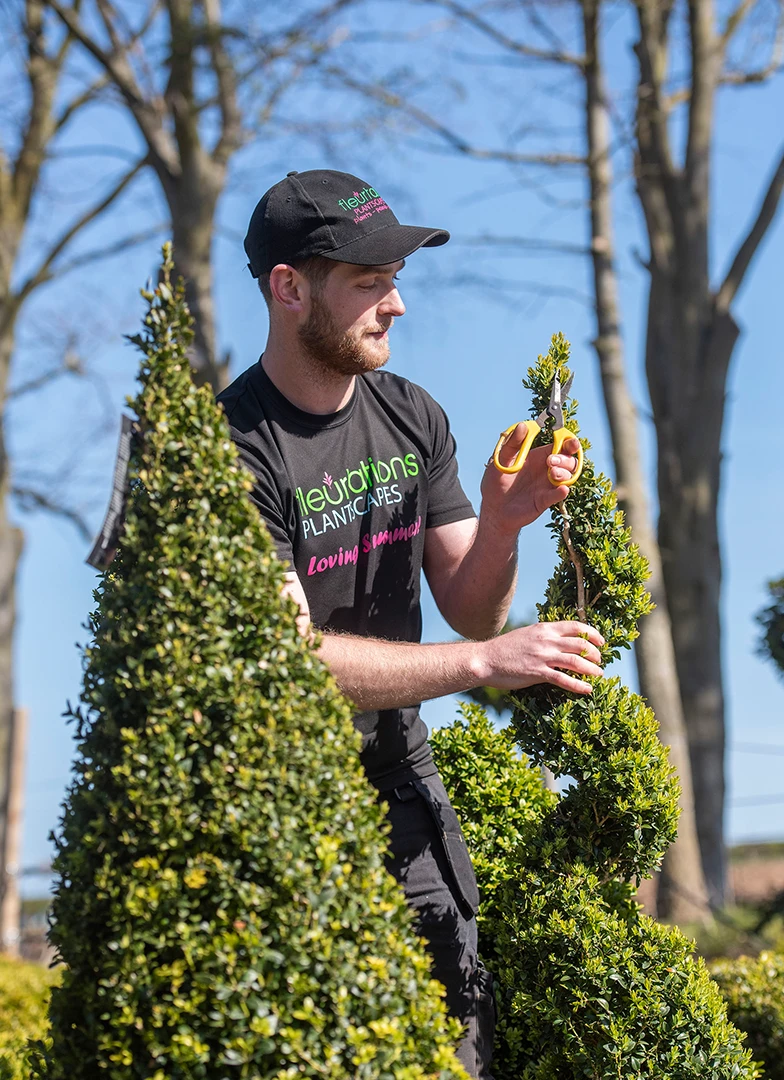 Fleurtations Plantscapes Ltd
