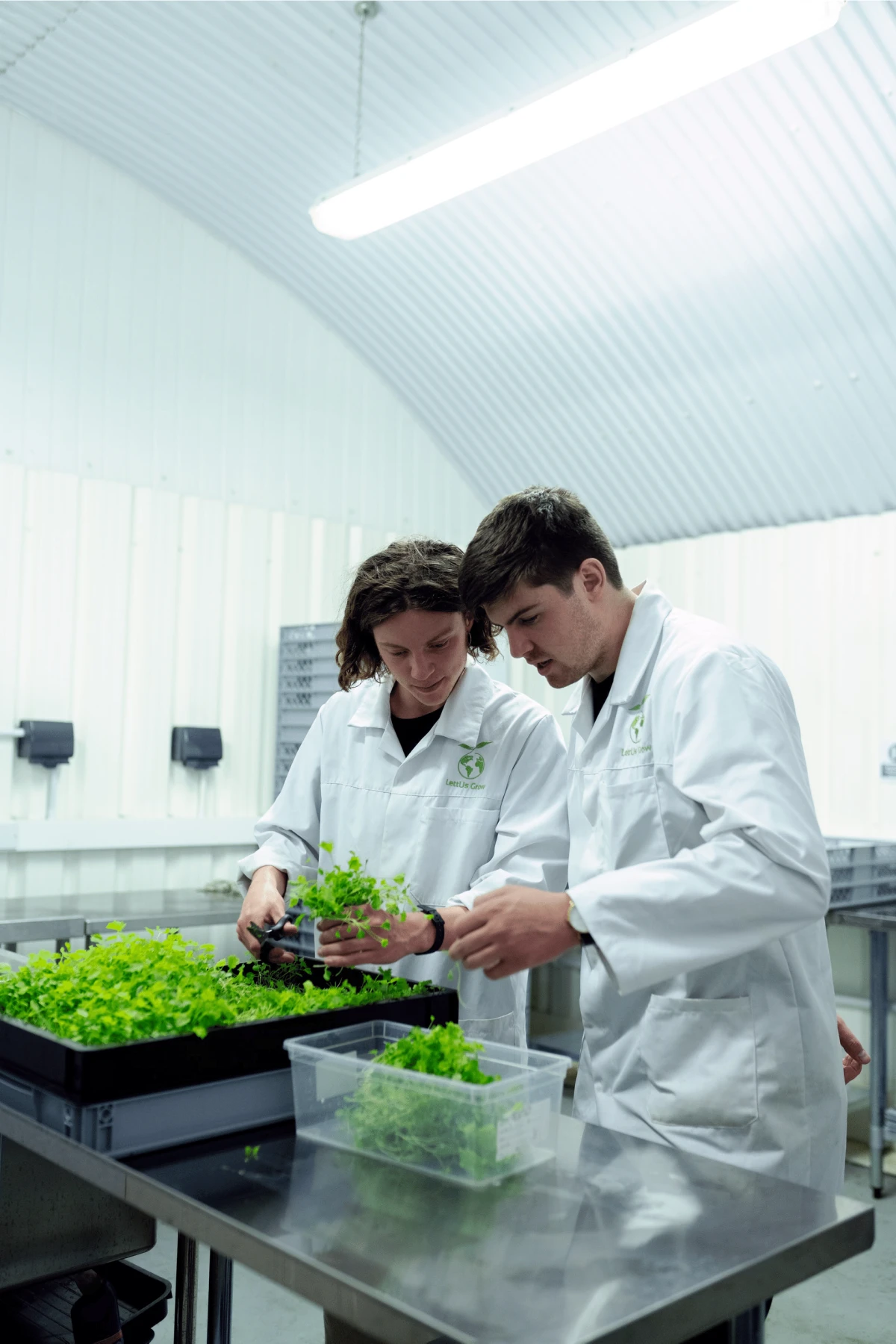 Life Sciences Recruitment