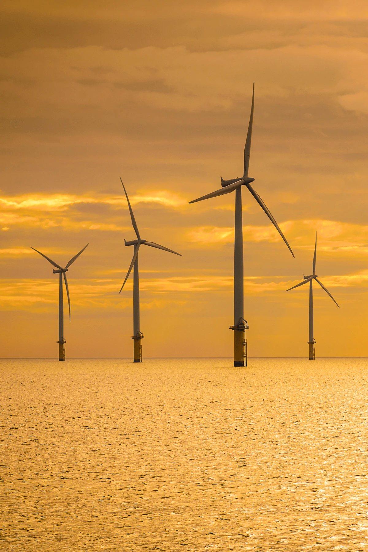 Renewable Energy Recruitment