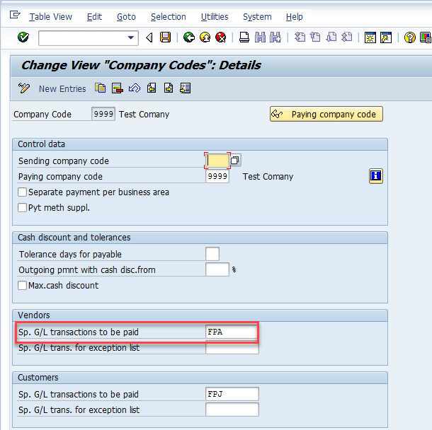 change-view-company-codes-details
