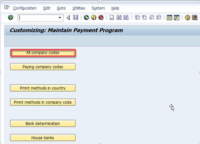 customizing-maintain-payment-program