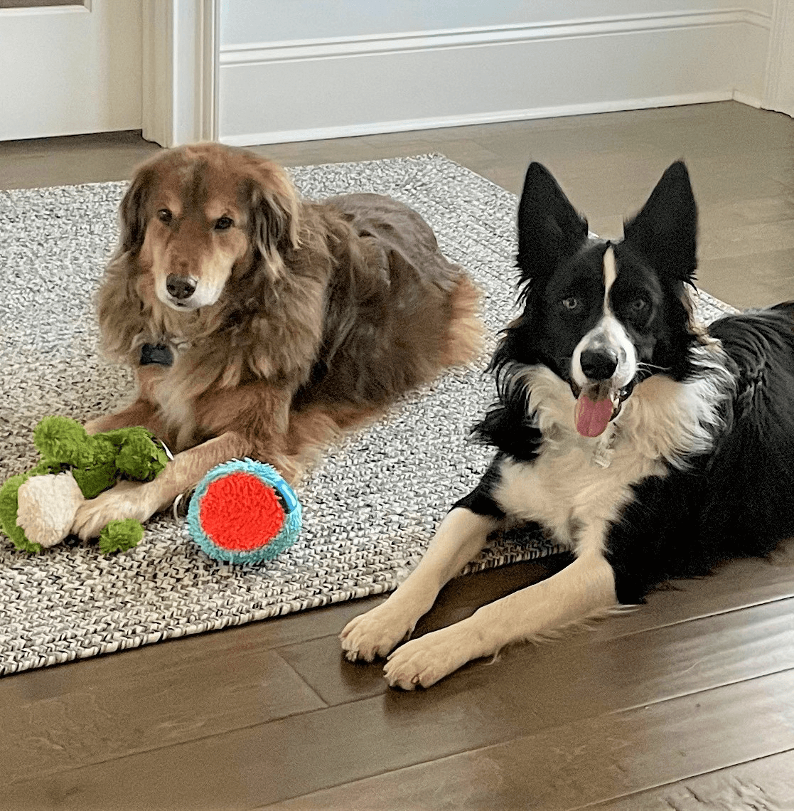 team-member